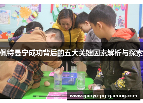 佩特曼宁成功背后的五大关键因素解析与探索 佩特曼宁成功背后的五大关键因素解析与探索