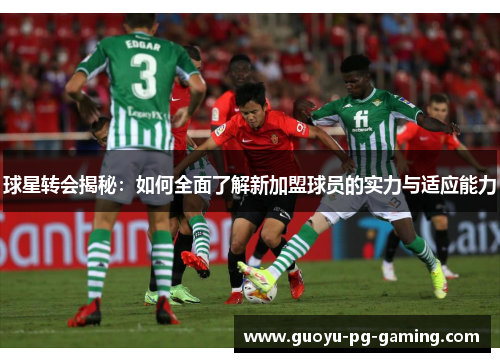 球星转会揭秘：如何全面了解新加盟球员的实力与适应能力