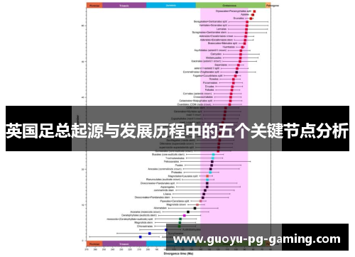 英国足总起源与发展历程中的五个关键节点分析 英国足总起源与发展历程中的五个关键节点分析