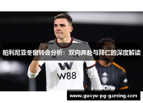 帕利尼亚冬窗转会分析:双向奔赴与拜仁的深度解读 帕利尼亚冬窗转会分析:双向奔赴与拜仁的深度解读