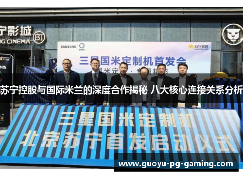 苏宁控股与国际米兰的深度合作揭秘 八大核心连接关系分析