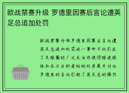 欧战禁赛升级 罗德里因赛后言论遭英足总追加处罚 欧战禁赛升级 罗德里因赛后言论遭英足总追加处罚